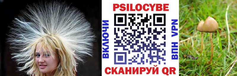 Галлюциногенные грибы мицелий  Цимлянск 